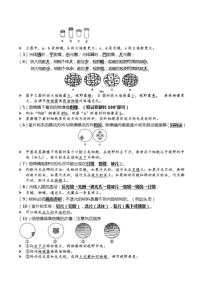 初中生物中考复习 02+细胞是生命活动的基本单位-2022年中考生物一轮复习核心考点必背知识清单第2页