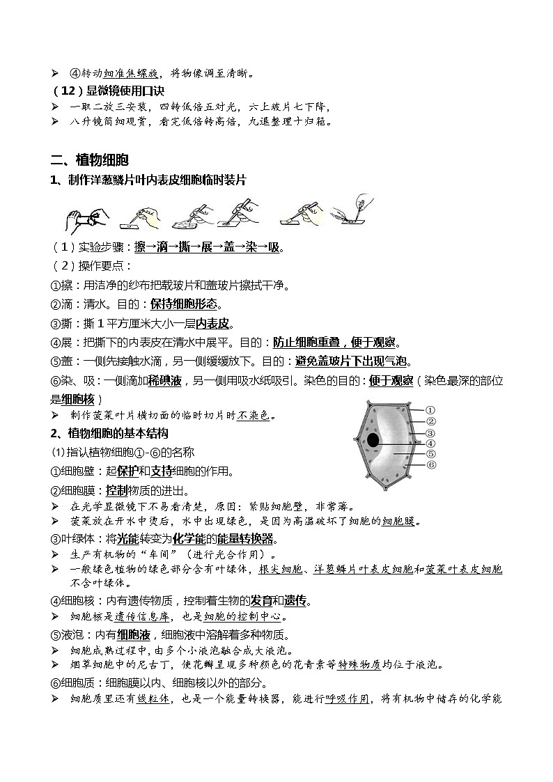 初中生物中考复习 02+细胞是生命活动的基本单位-2022年中考生物一轮复习核心考点必背知识清单第3页