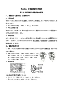 初中生物中考复习 05+绿色植物的三大作用-2022年中考生物一轮复习核心考点必背知识清单