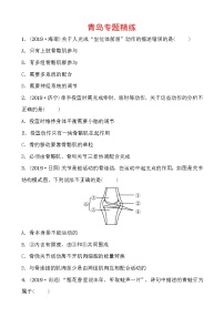 初中生物中考复习 06专题六 专题精练