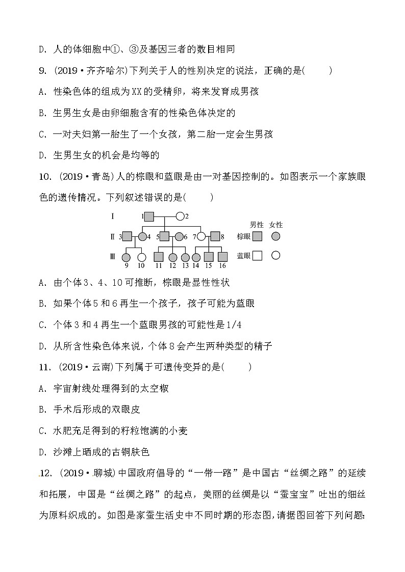 初中生物中考复习 07专题七 专题精练03