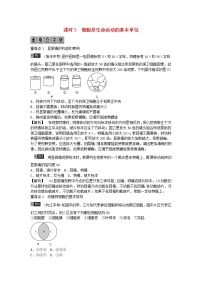 初中生物中考复习 2019年中考生物总复习主题二生物体的结构层次课时3细胞是生命活动的基本单位