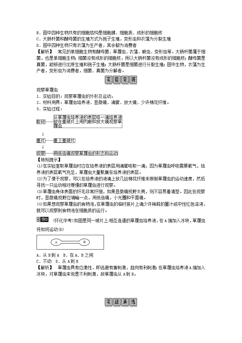 初中生物中考复习 2019年中考生物总复习主题二生物体的结构层次课时4生物体的结构层次第2页