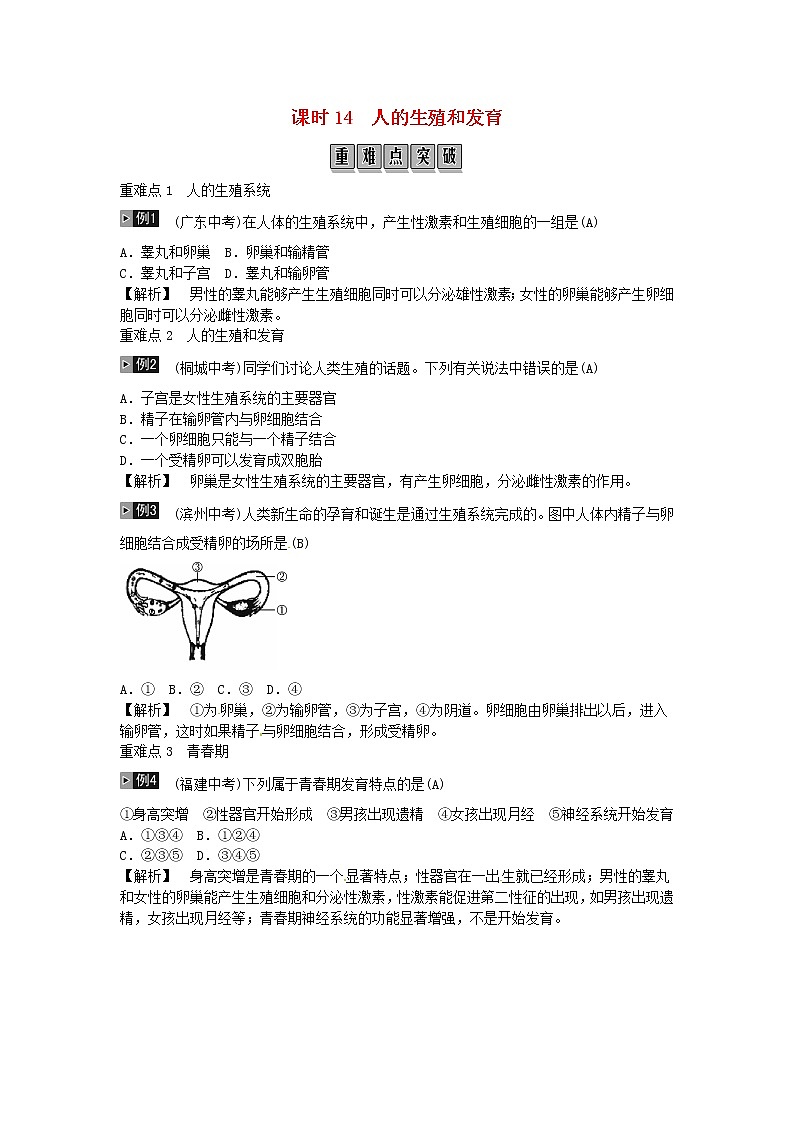 初中生物中考复习 2019年中考生物总复习主题六生物的生殖和发育遗传与变异课时14人的生殖和发育第1页