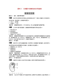 初中生物中考复习 2019年中考生物总复习主题七生物的多样性课时17生物圈中有哪些绿色开花植物