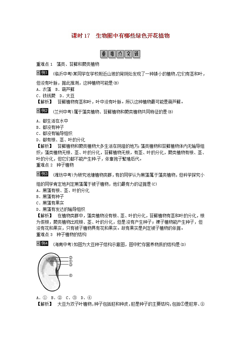 初中生物中考复习 2019年中考生物总复习主题七生物的多样性课时17生物圈中有哪些绿色开花植物第1页