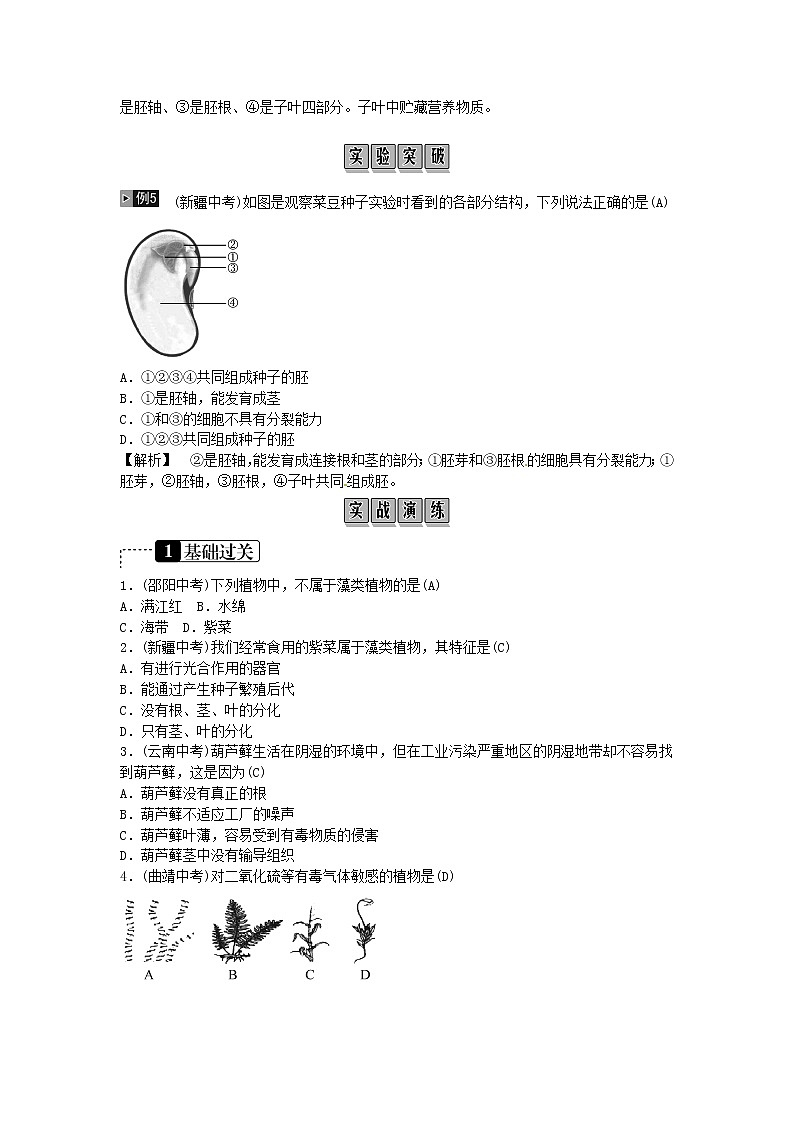 初中生物中考复习 2019年中考生物总复习主题七生物的多样性课时17生物圈中有哪些绿色开花植物第2页