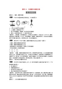 初中生物中考复习 2019年中考生物总复习主题七生物的多样性课时19生物圈中的微生物