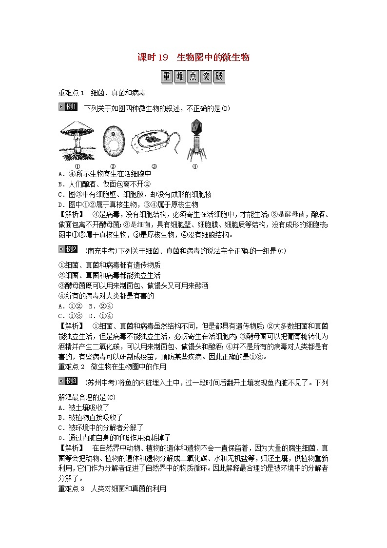 初中生物中考复习 2019年中考生物总复习主题七生物的多样性课时19生物圈中的微生物第1页
