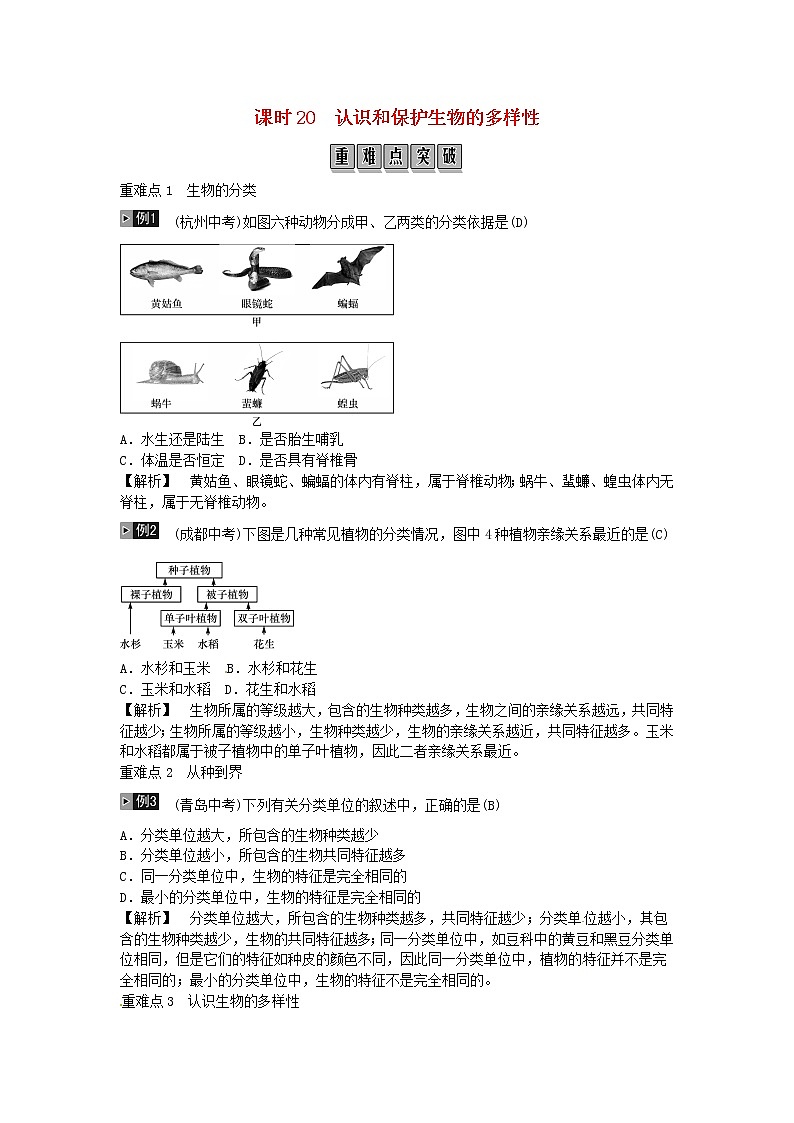 初中生物中考复习 2019年中考生物总复习主题七生物的多样性课时20认识和保护生物的多样性第1页