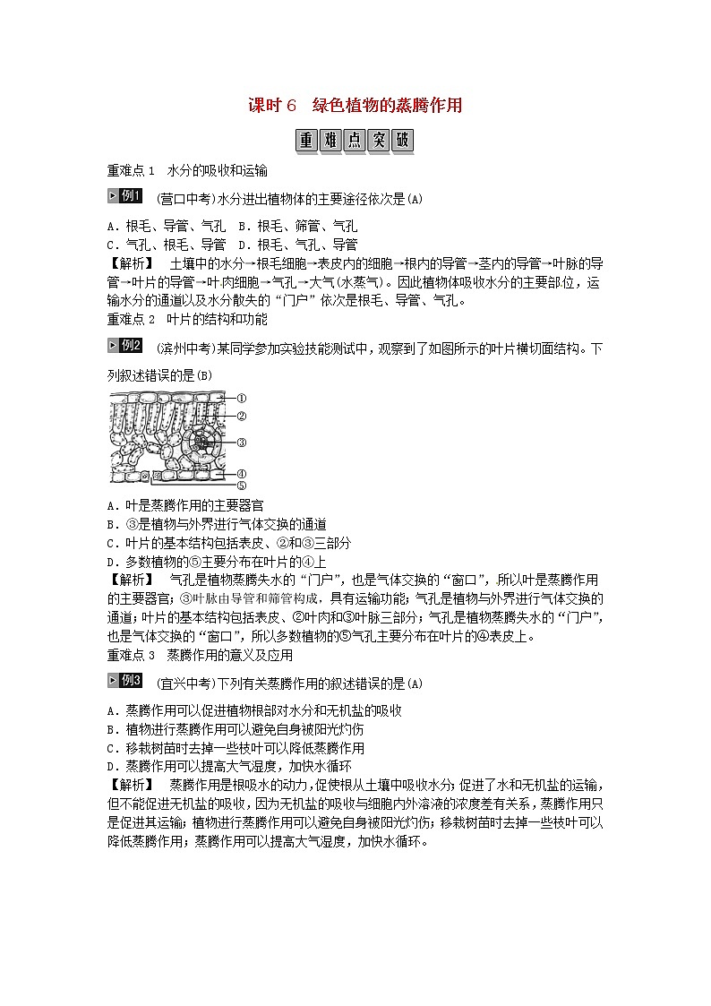 初中生物中考复习 2019年中考生物总复习主题三生物圈中的绿色植物课时6绿色植物的蒸腾作用第1页