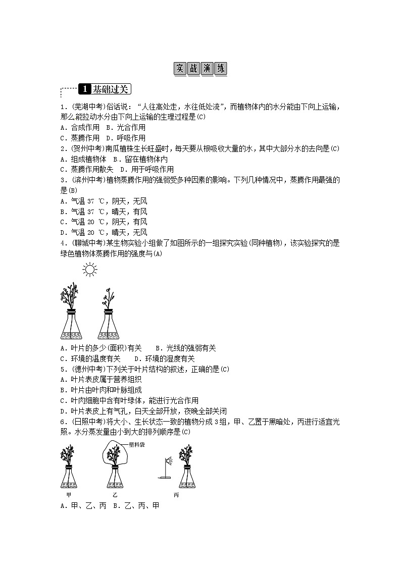 初中生物中考复习 2019年中考生物总复习主题三生物圈中的绿色植物课时6绿色植物的蒸腾作用第2页