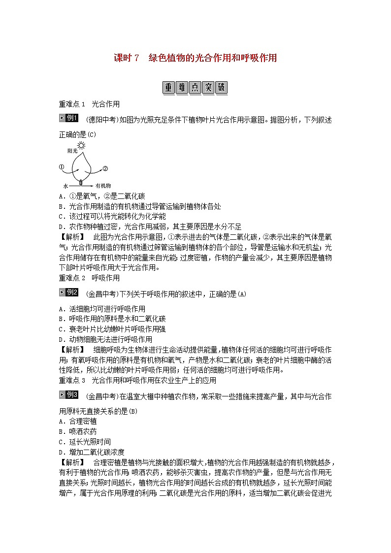 初中生物中考复习 2019年中考生物总复习主题三生物圈中的绿色植物课时7绿色植物的光合作用和呼吸作用第1页