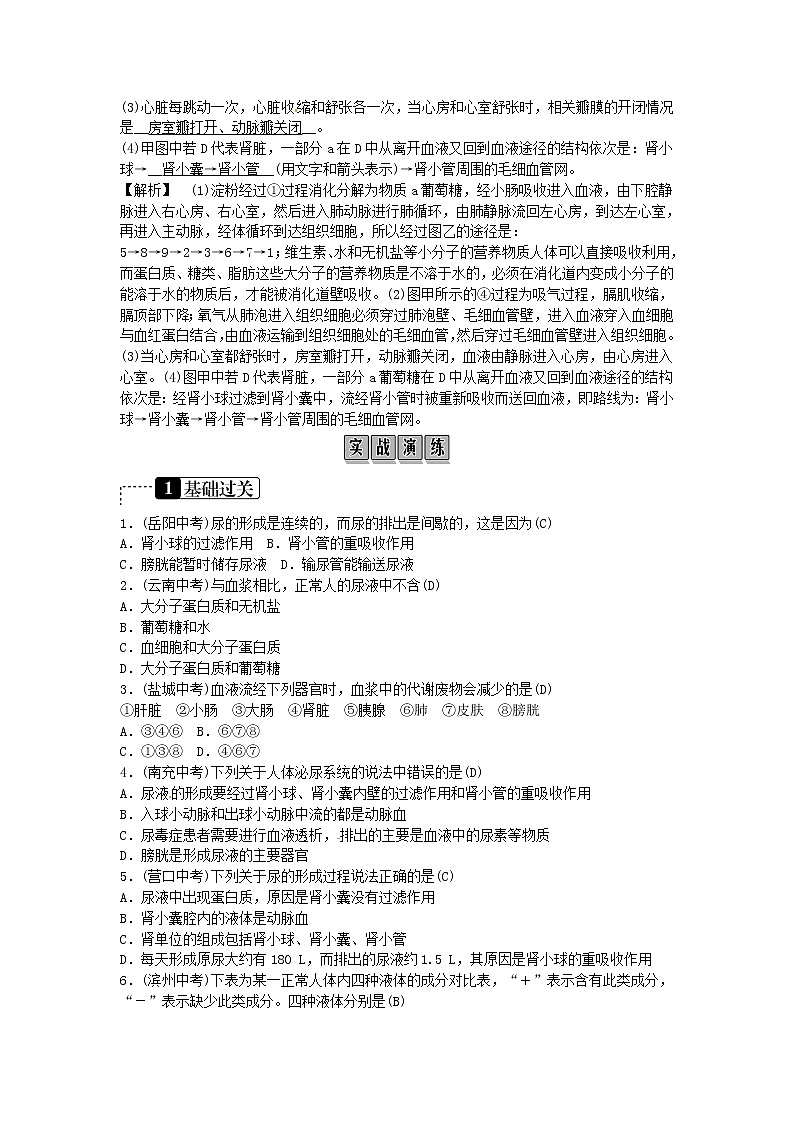 初中生物中考复习 2019年中考生物总复习主题四生物圈中的人课时11人体内废物的排出02