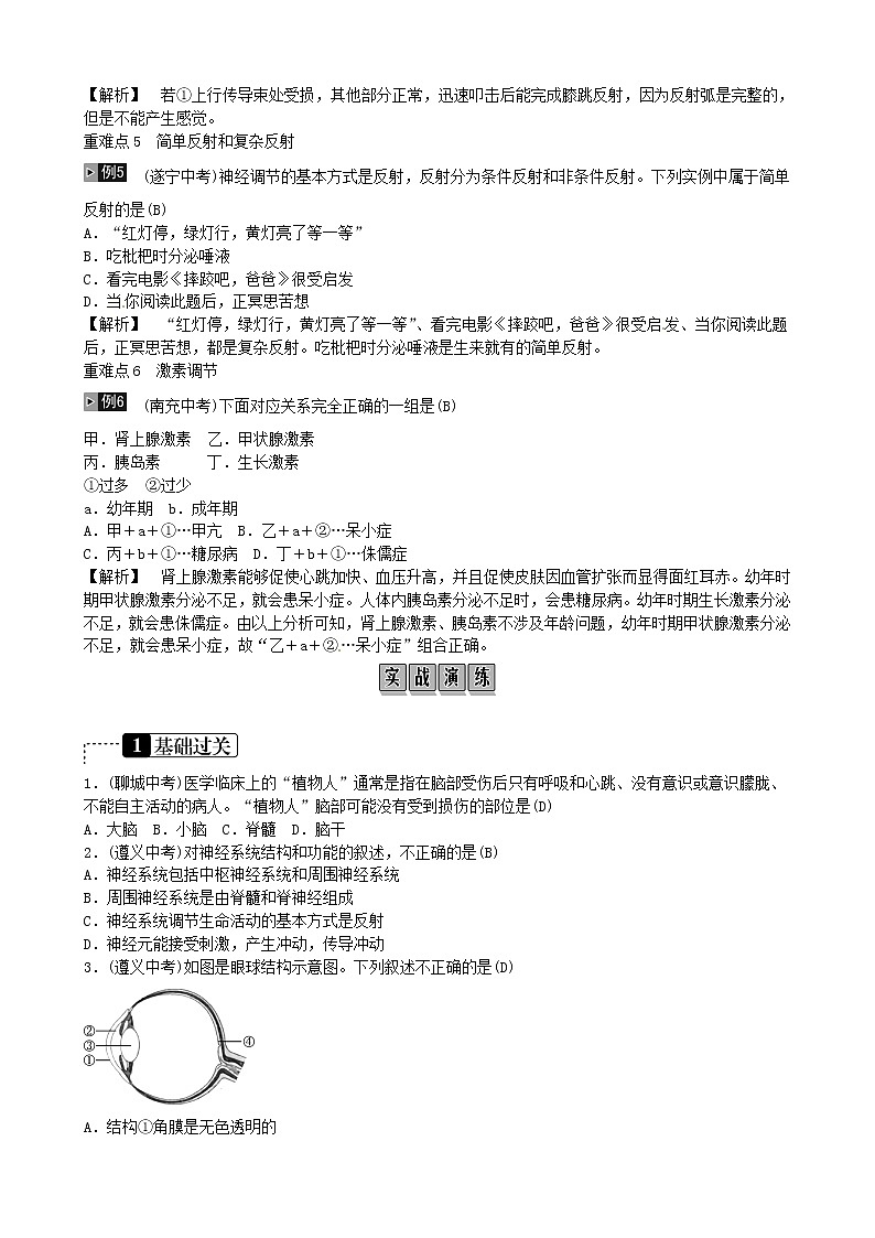 初中生物中考复习 2019年中考生物总复习主题四生物圈中的人课时12人体生命活动的调节01