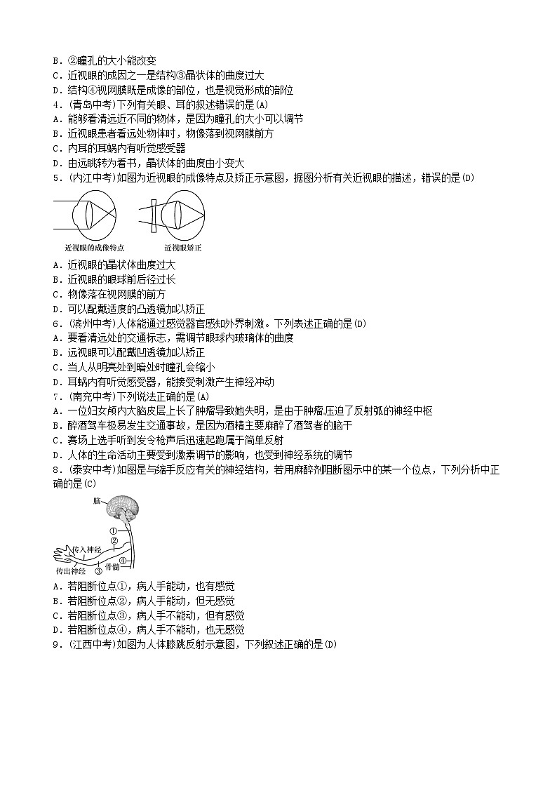 初中生物中考复习 2019年中考生物总复习主题四生物圈中的人课时12人体生命活动的调节02