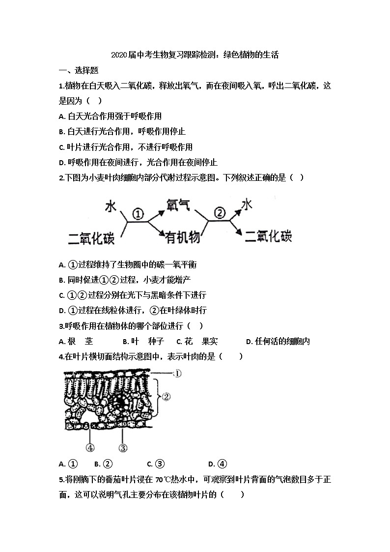 初中生物中考复习 2020届中考生物复习跟踪检测：绿色植物的生活第1页