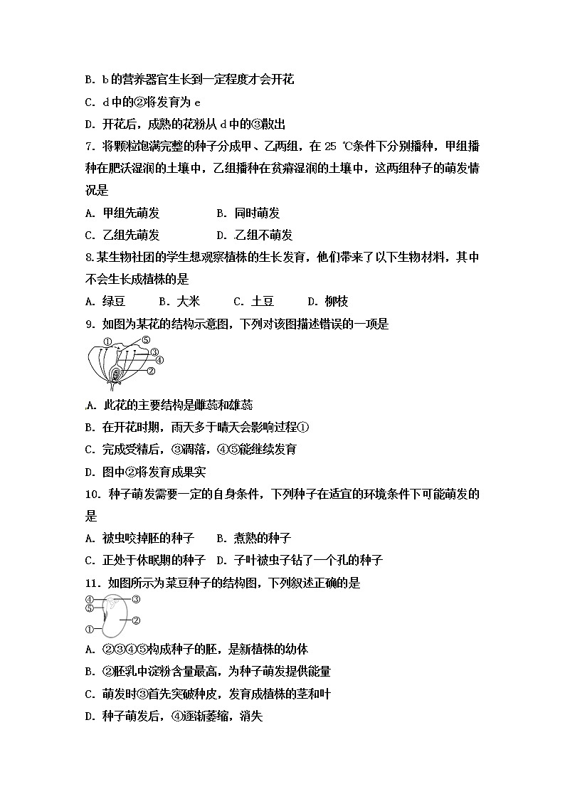 初中生物中考复习 2020届中考生物复习跟踪检测：生物圈中的绿色植物第2页