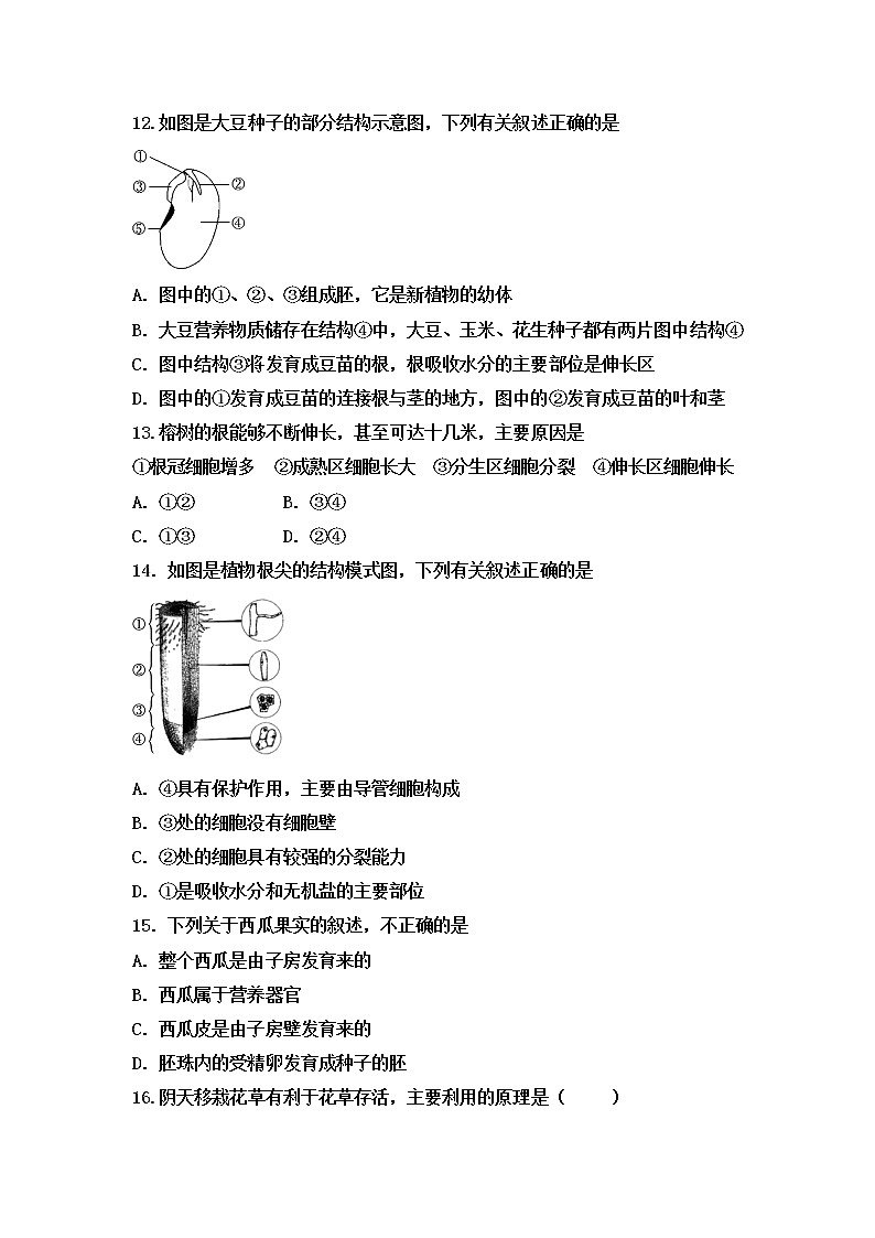 初中生物中考复习 2020届中考生物复习跟踪检测：生物圈中的绿色植物第3页