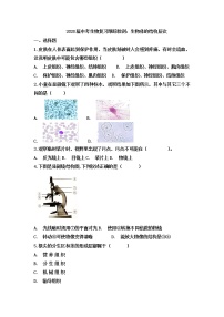 初中生物中考复习 2020届中考生物复习跟踪检测：生物体的结构层次