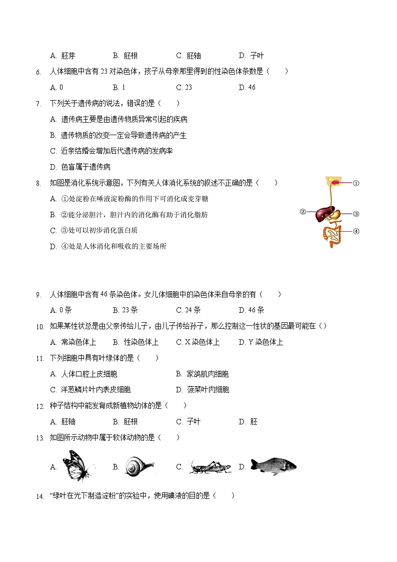初中生物中考复习 2020年第二次模拟大联考（福建卷）-生物（A4考试版）02