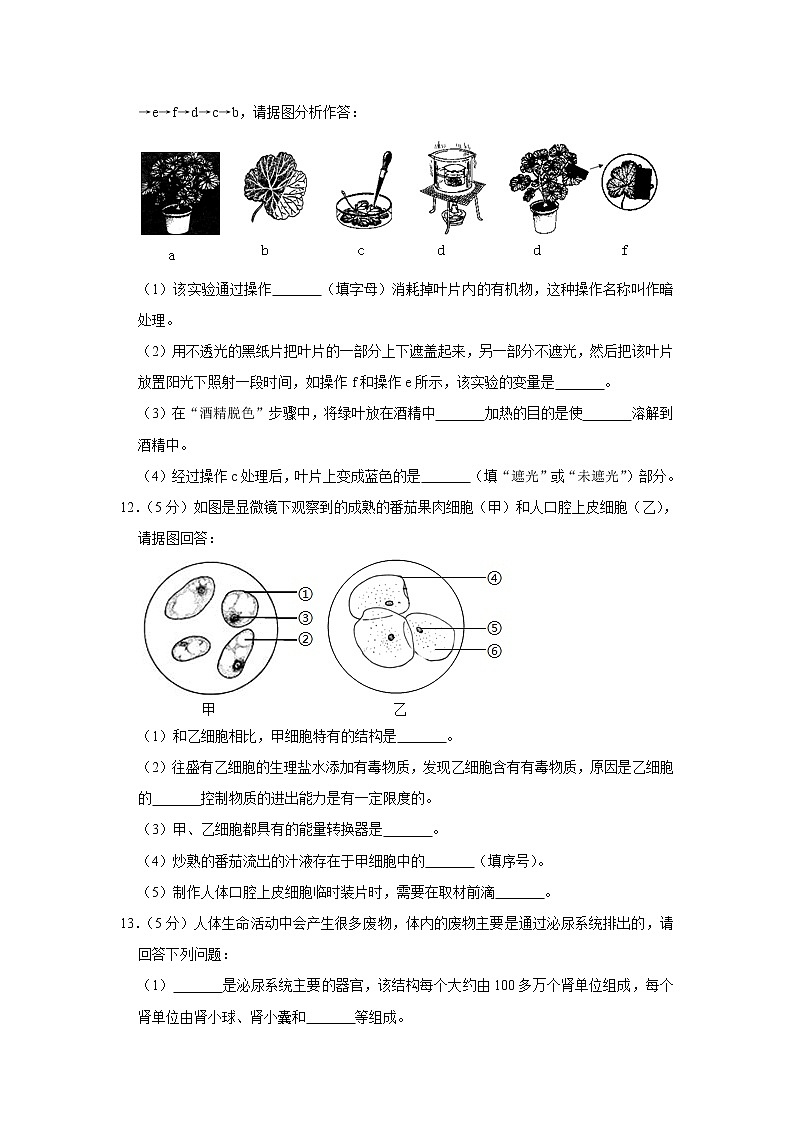 初中生物中考复习 2021年安徽省中考生物冲刺试卷（五）03