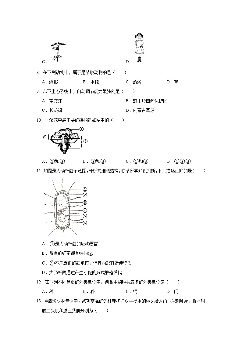 初中生物中考复习 2021年海南省海口市中考生物模拟试卷    解析版第2页