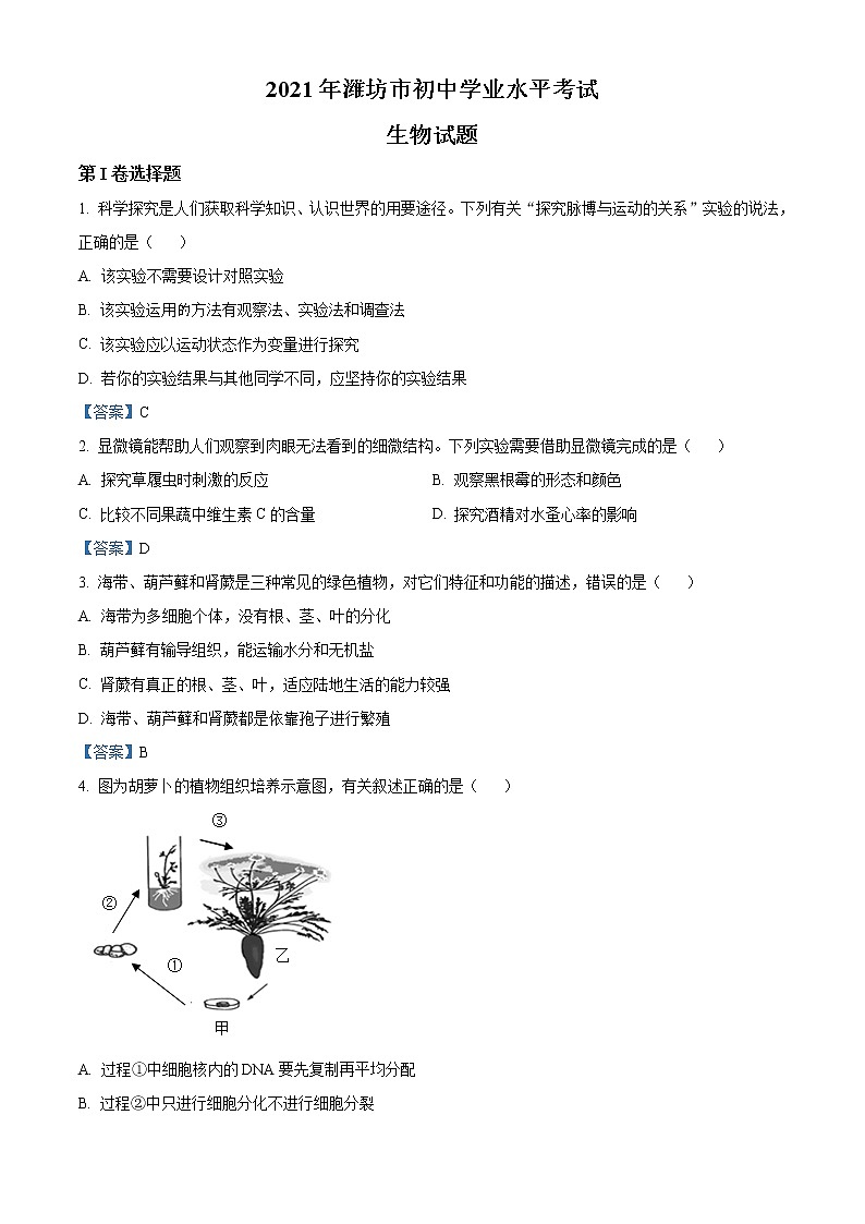 初中生物中考复习 2021年山东省潍坊市中考生物试题01