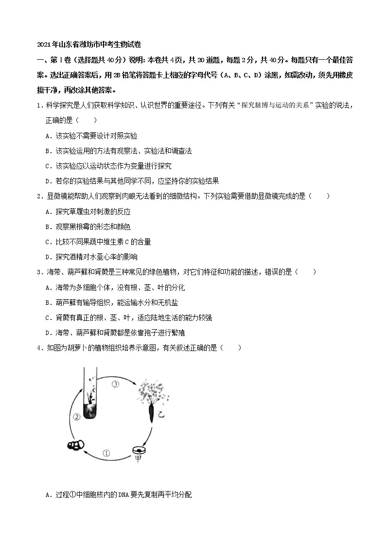 初中生物中考复习 2021年山东省潍坊市中考生物真题（word版，含解析）01