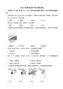 初中生物中考复习 2021年陕西省中考生物真题（word版，含解析）