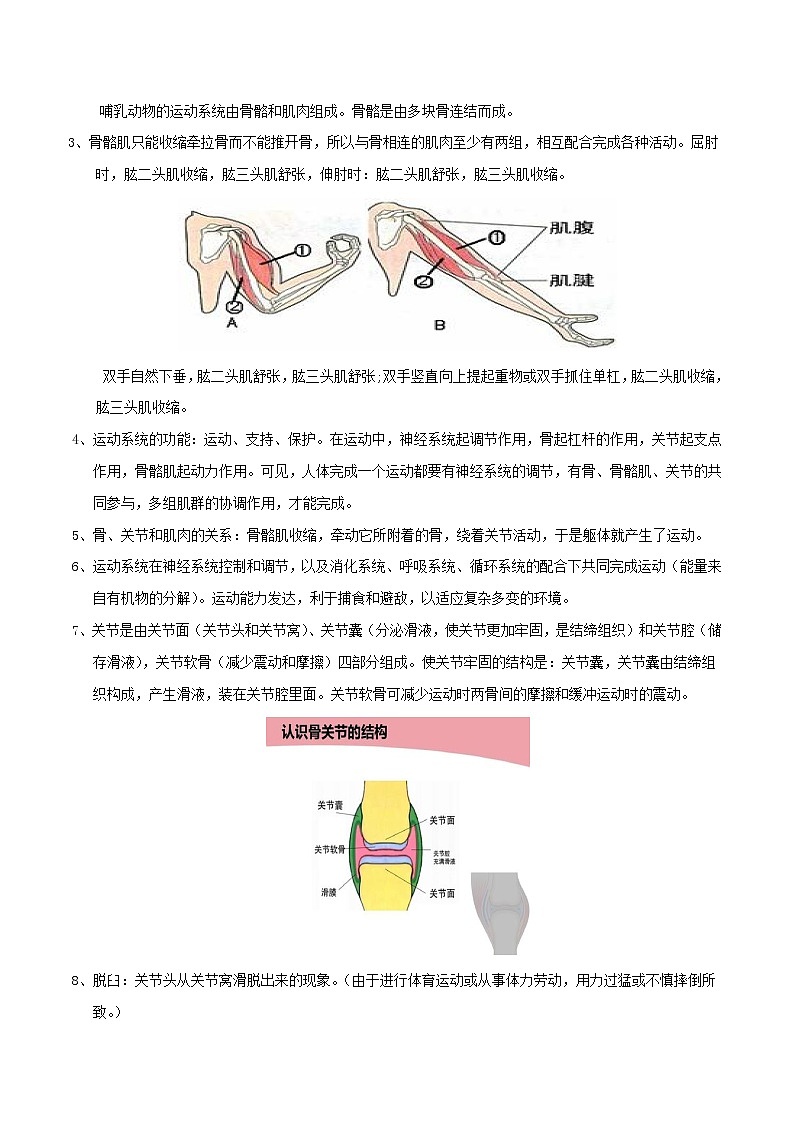 初中生物中考复习 八年级上册-2020中考生物必背知识合集（人教版） 试卷03