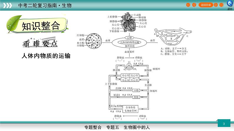 初中生物中考复习 5 2人体内的物质运输（上课用课件）-【过专题】2022年中考生物二轮精准高效复习03