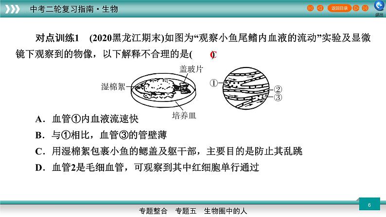 初中生物中考复习 5 2人体内的物质运输（上课用课件）-【过专题】2022年中考生物二轮精准高效复习06