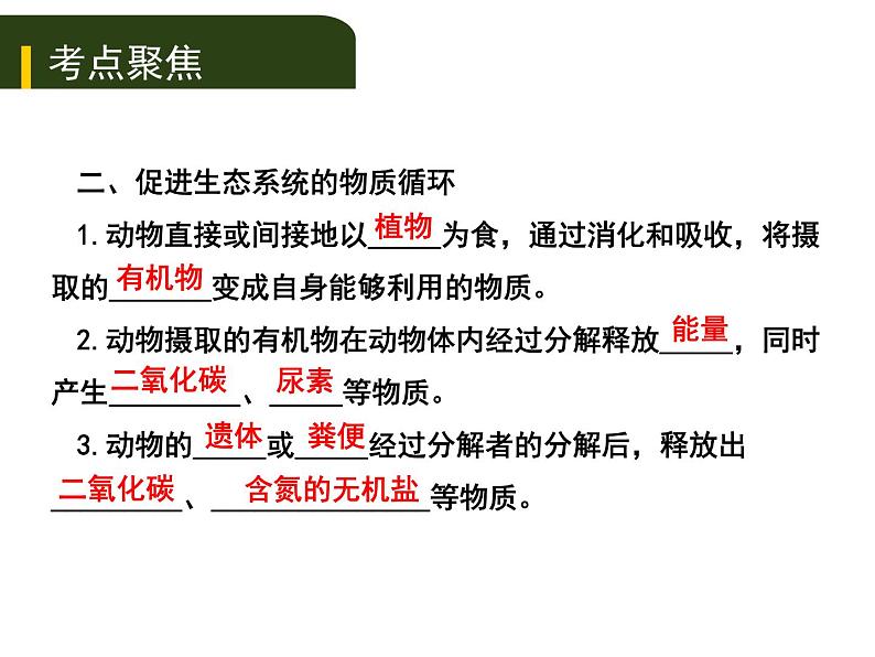 初中生物中考复习 八、（三）动、植物的类群（二）课件PPT03