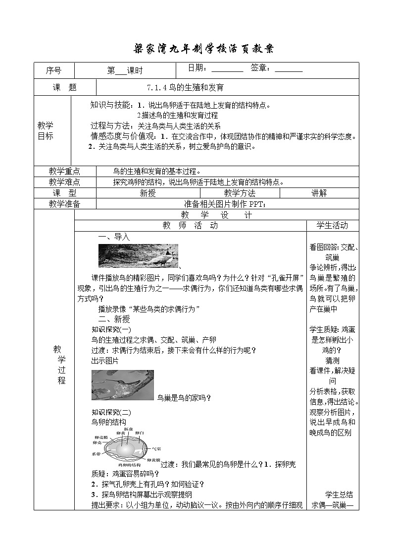 7.1.4鸟的生殖和发育第1页