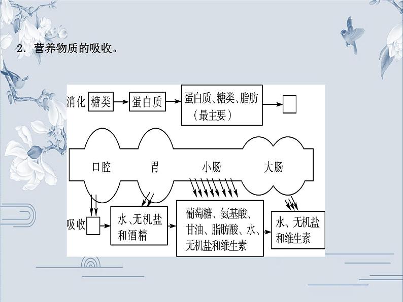 初中生物中考复习 05专题五课件PPT03