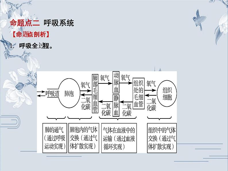 初中生物中考复习 05专题五课件PPT05