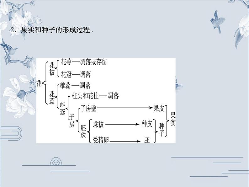 初中生物中考复习 04专题四课件PPT第3页