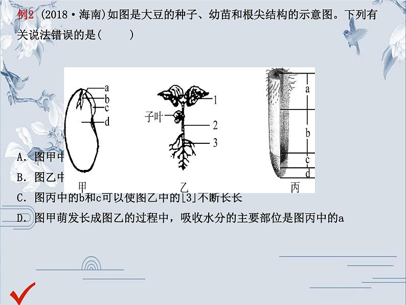 初中生物中考复习 04专题四课件PPT第7页