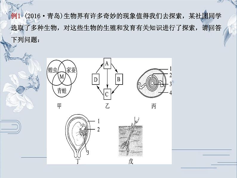 初中生物中考复习 07专题七课件PPT第5页