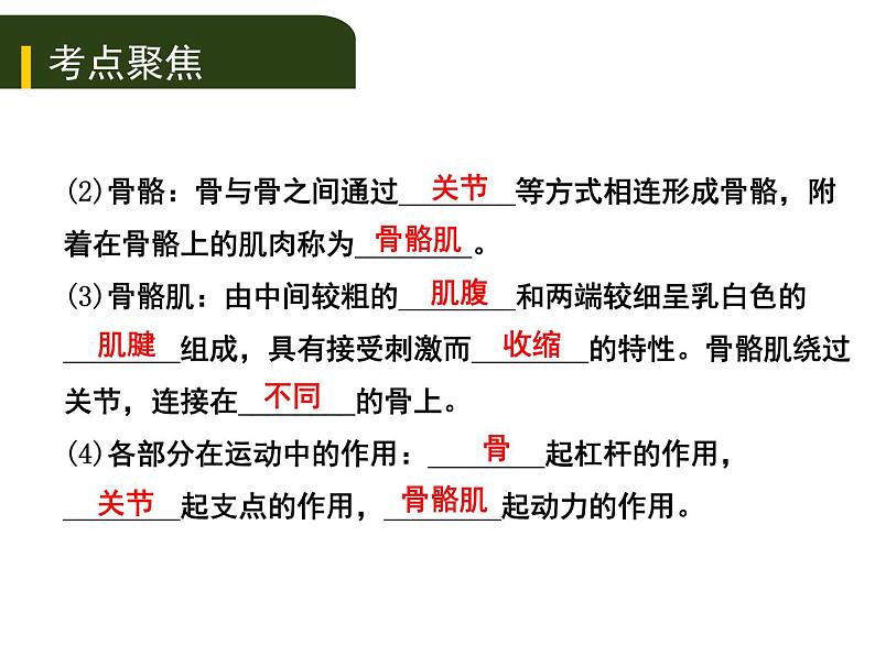 初中生物中考复习 2020年中考生物复习课件（含2019中考真题）六、动物的运动和行为第3页