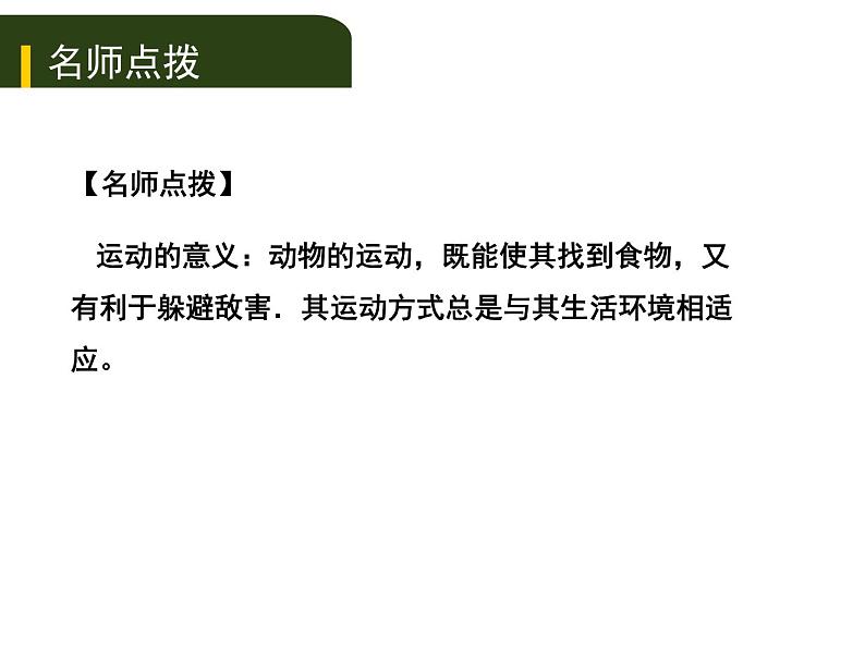 初中生物中考复习 2020年中考生物复习课件（含2019中考真题）六、动物的运动和行为第6页