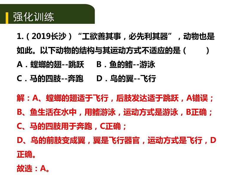 初中生物中考复习 2020年中考生物复习课件（含2019中考真题）六、动物的运动和行为第8页