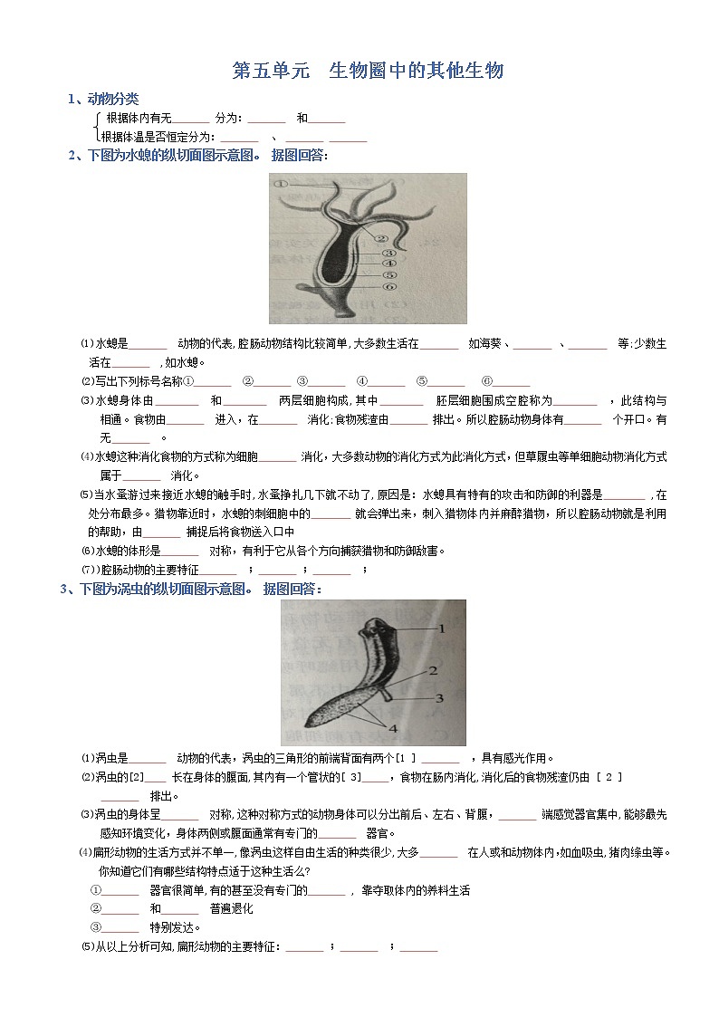 初中生物中考复习 八年级上册-2022年中考生物复习必背考点分册梳理（人教版）（填空版）第1页