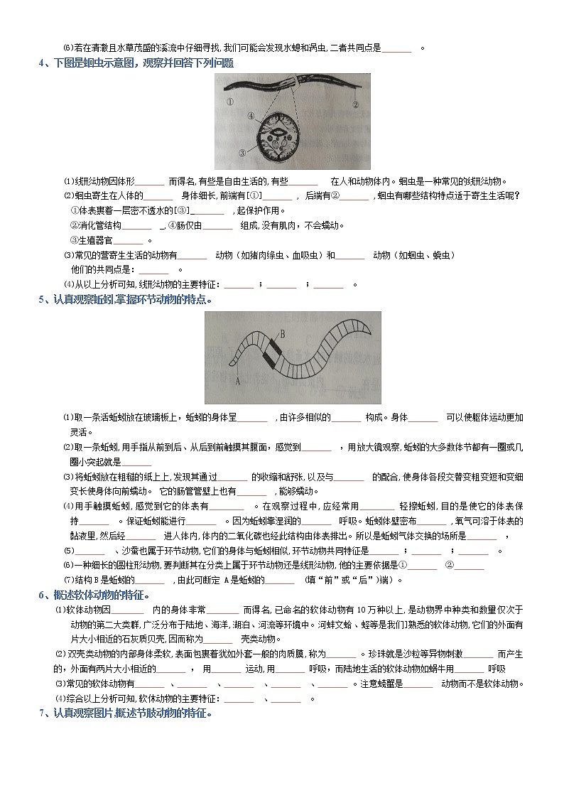 初中生物中考复习 八年级上册-2022年中考生物复习必背考点分册梳理（人教版）（填空版）第2页