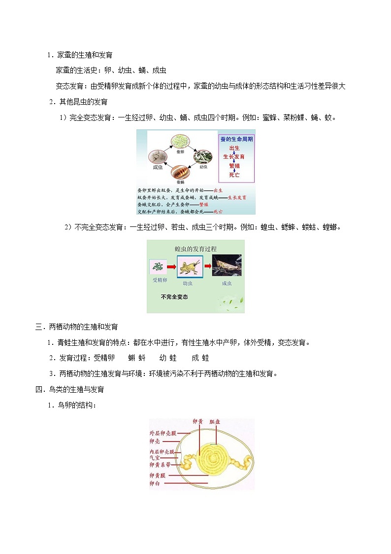 初中生物中考复习 八年级下册-2020中考生物必背知识合集（人教版）第2页