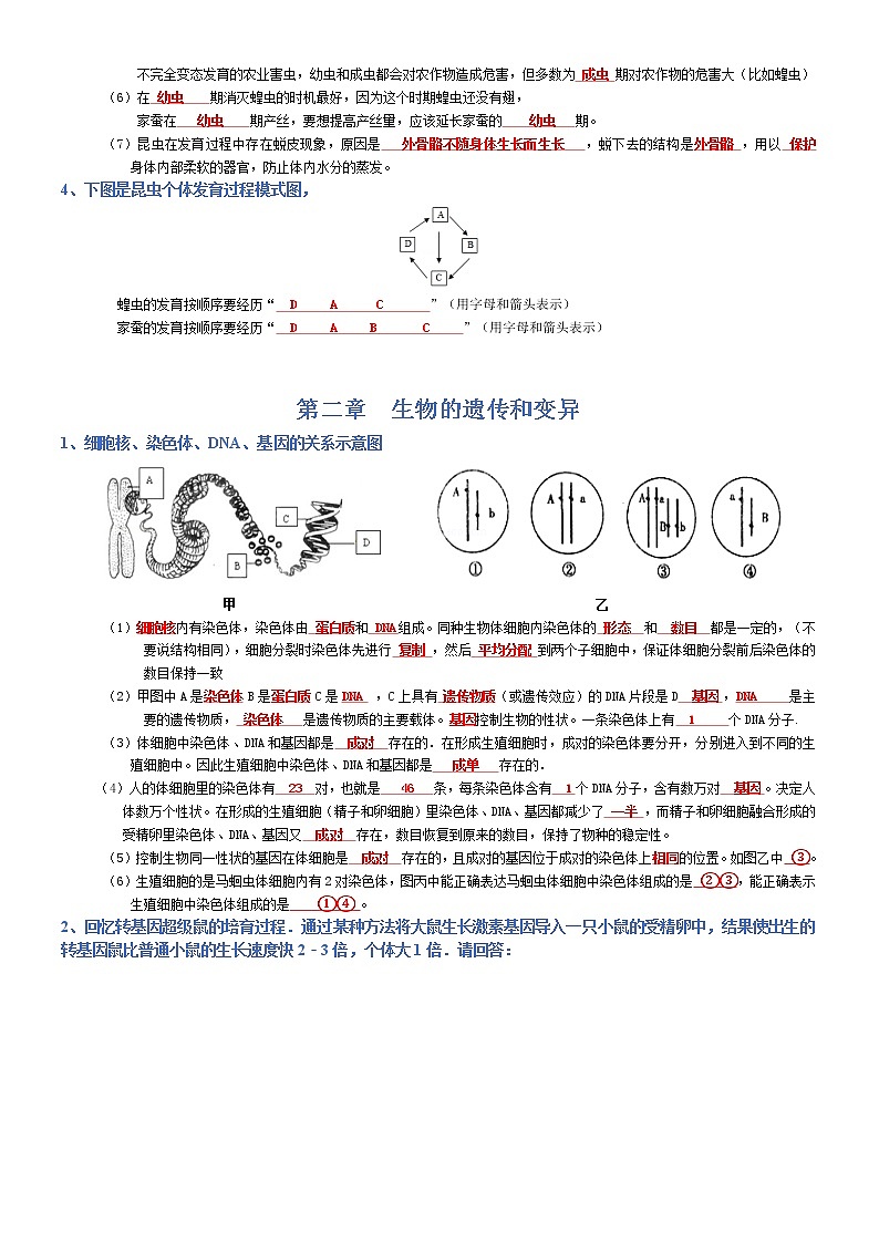 初中生物中考复习 八年级下册-2022年中考生物复习必背考点分册梳理（人教版）（答案版）第2页