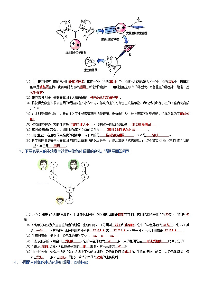 初中生物中考复习 八年级下册-2022年中考生物复习必背考点分册梳理（人教版）（答案版）第3页