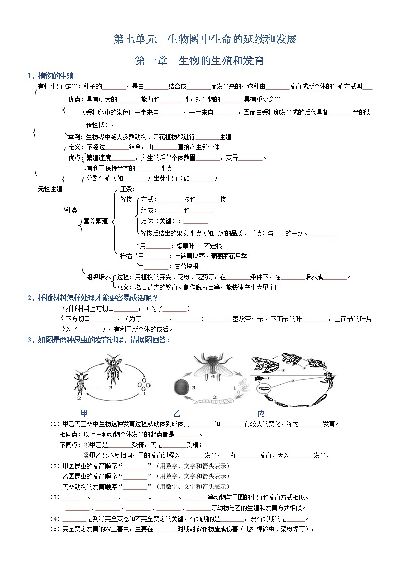 初中生物中考复习 八年级下册-2022年中考生物复习必背考点分册梳理（人教版）（填空版）第1页