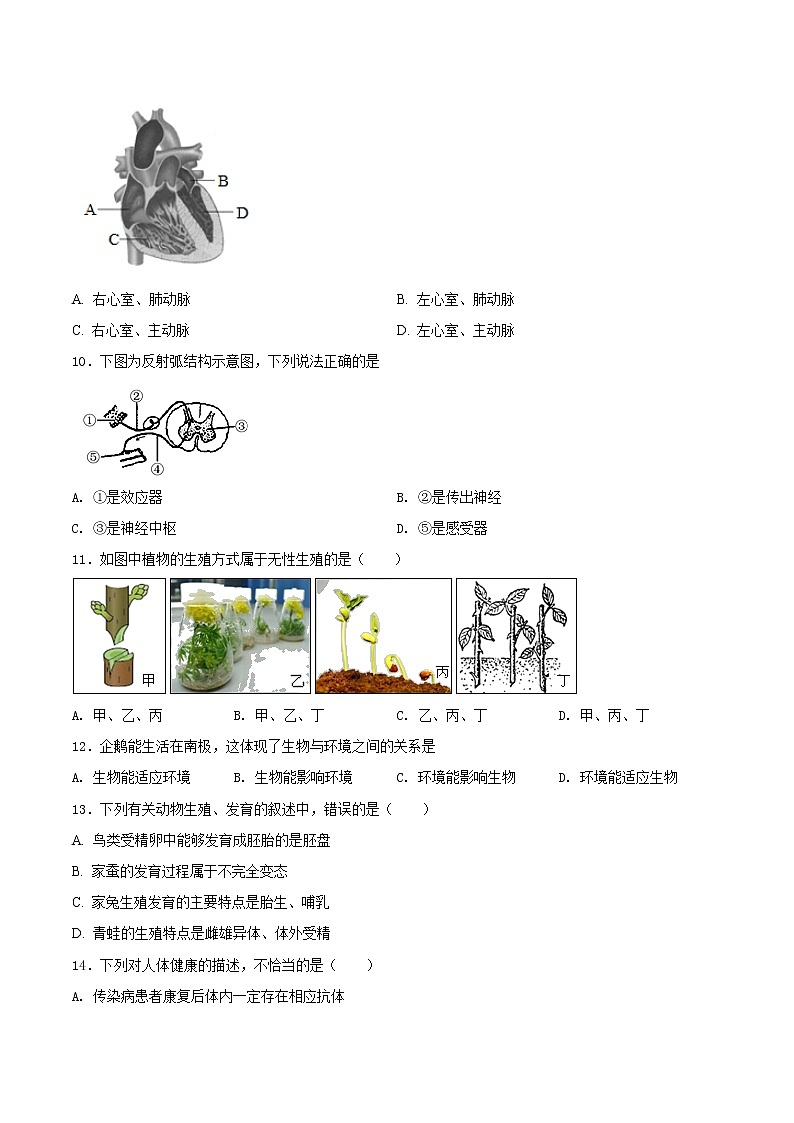 初中生物中考复习 必刷卷01-2021年中考生物考前信息必刷卷（人教版）（原卷版）第3页